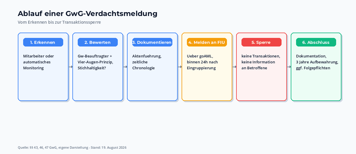 Ablaufdiagramm einer GwG-Verdachtsmeldung: Erkennen, Bewerten, Geldwaesche-Beauftragter, FIU-Meldung, Dokumentation, Sperre