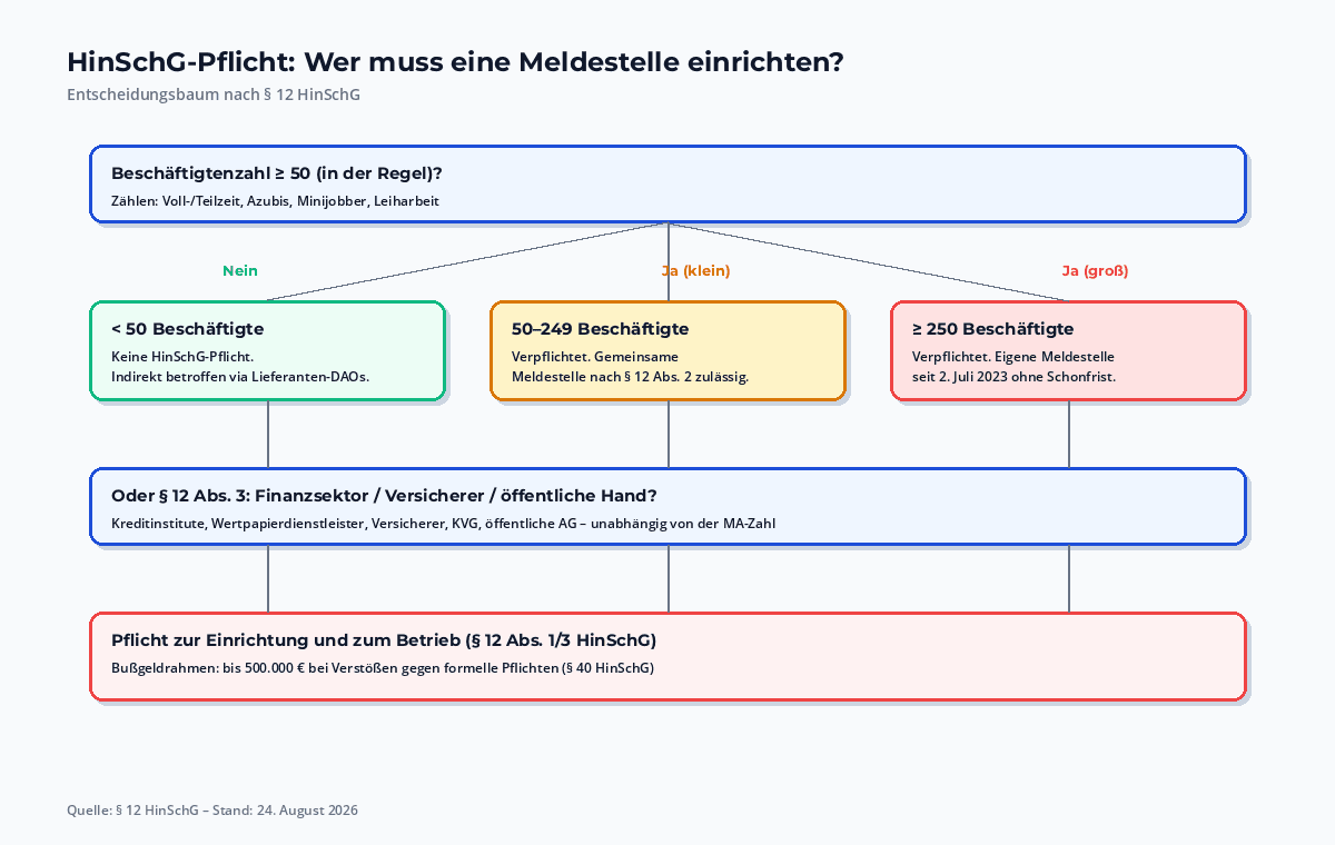 Entscheidungsbaum zur HinSchG-Pflicht nach § 12: Beschäftigtenzahl, Branchen, Konzerne – mit Pflicht- und Befreiungspfaden