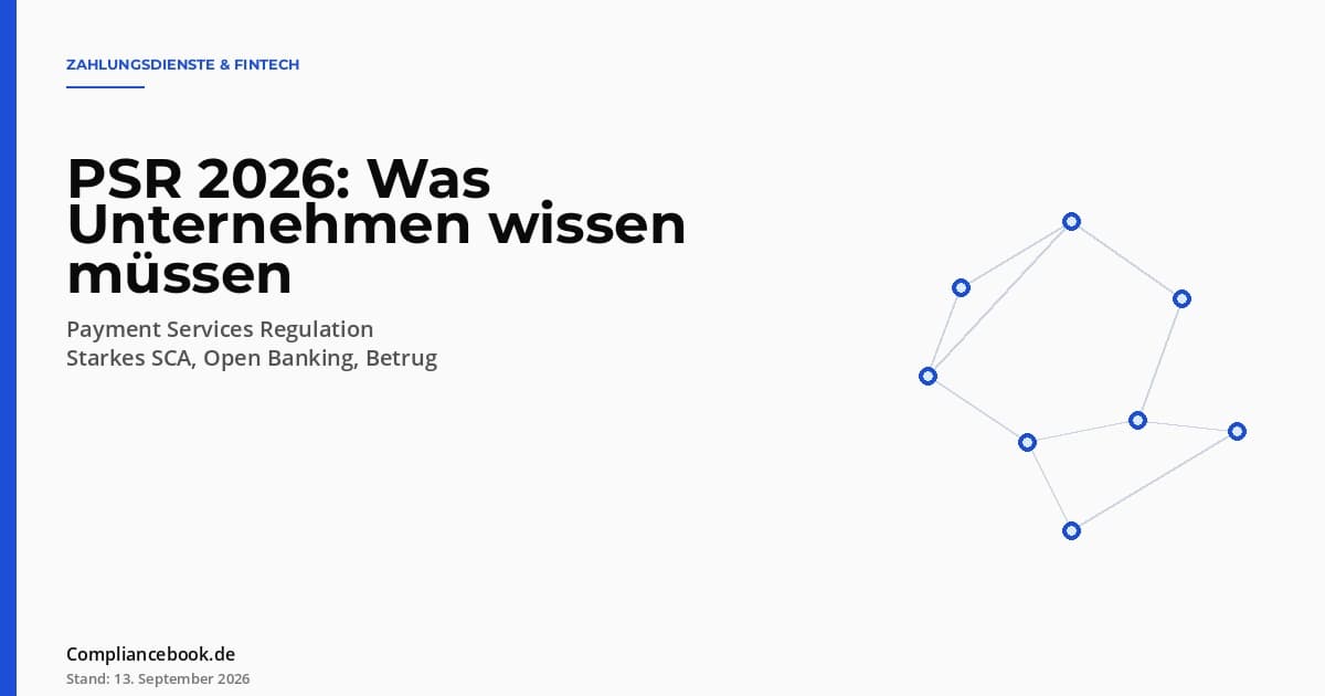 Editorial Hero: PSR 2026 – Knoten-Netzwerk als Symbol für Payment-Flows zwischen Anbietern, Banken und Händlern