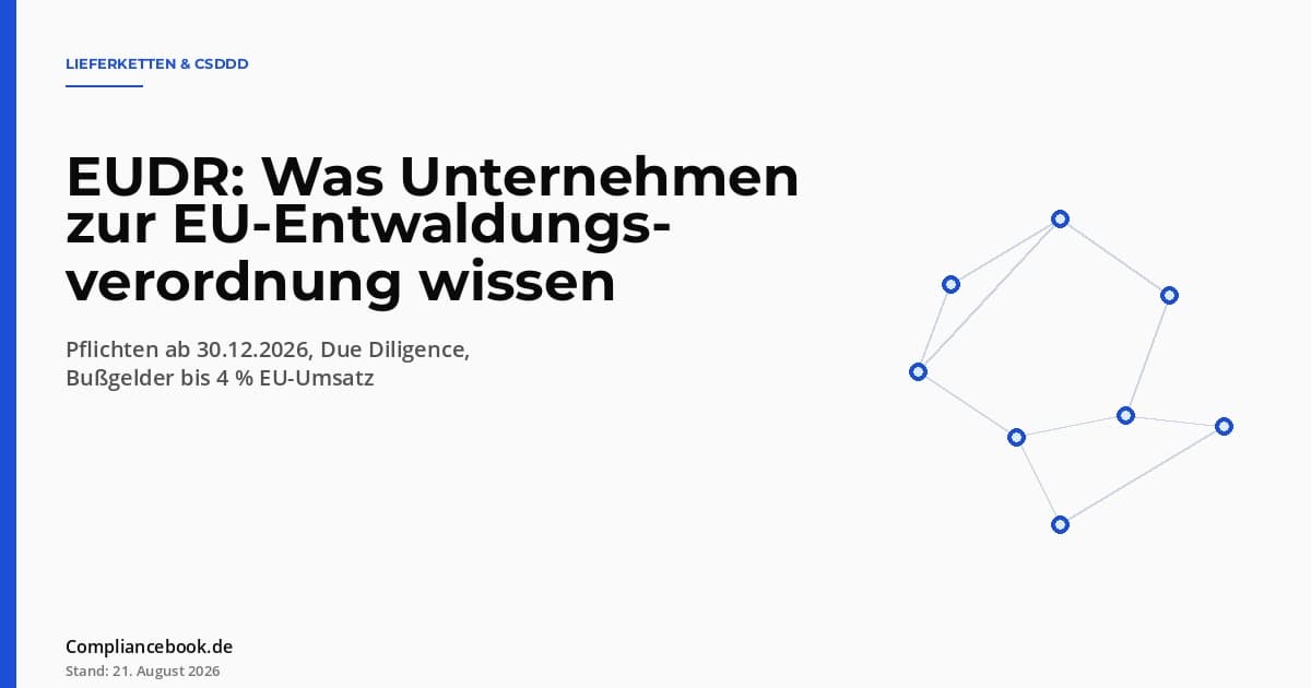 EUDR Entwaldungsverordnung - Editorial-Layout mit abstrahiertem Netzwerk als Symbol fuer globale Lieferketten und Sorgfaltspflichten