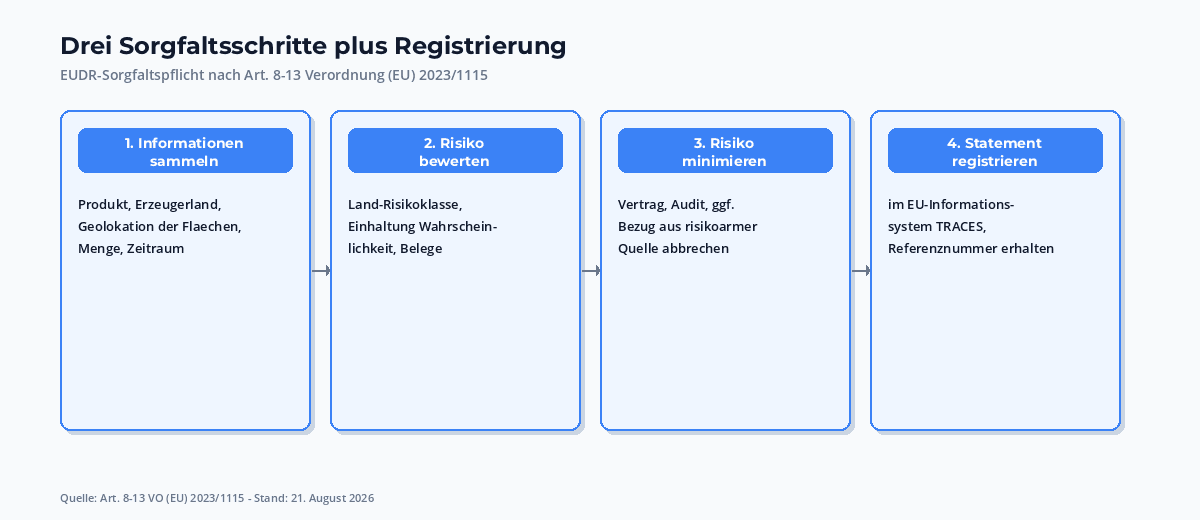 EUDR-Pflichtenuebersicht: drei Sorgfaltsschritte - Informationssammlung, Risikobewertung, Risikominimierung - mit Verweis auf das Due Diligence Statement im EU-Informationssystem